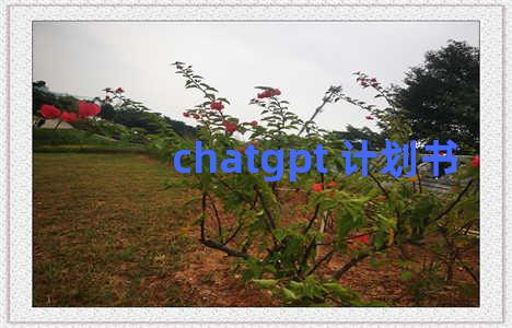 chatgpt 计划书